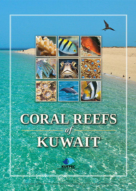 Special Publications